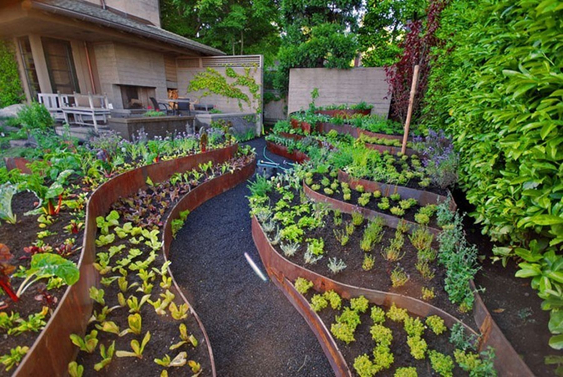 terrace gardening terrace gardening