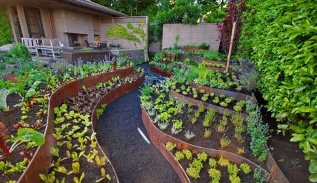 terrace gardening terrace gardening